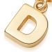 Gold Initial 'D' Biography Charm