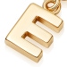 Gold Initial 'E' Biography Charm