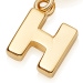 Gold Initial 'H' Biography Charm