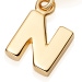 Gold Initial 'N' Biography Charm
