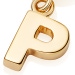 Gold Initial 'P' Biography Charm