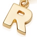 Gold Initial 'R' Biography Charm
