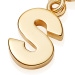 Gold Initial 'S' Biography Charm