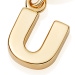 Gold Initial 'U' Biography Charm