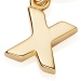 Gold Initial 'X' Biography Charm