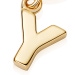 Gold Initial 'Y' Biography Charm