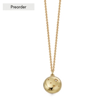 PREORDER: Gold Tiny Star Mini biography locket