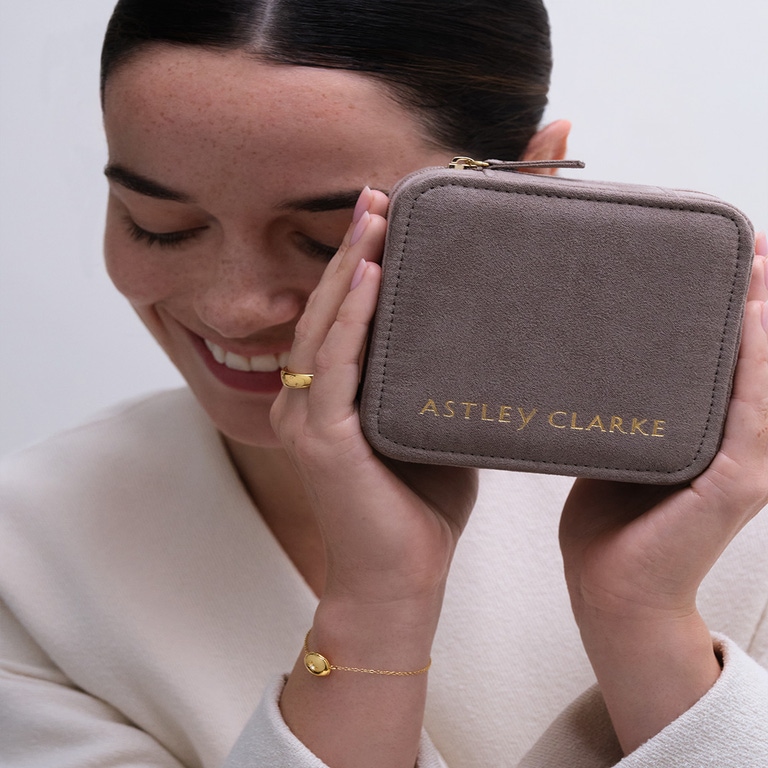 Astley Clarke Travel Jewellery Case