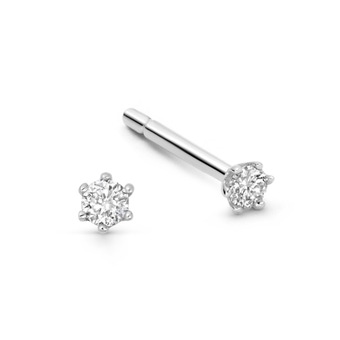 Solid White Gold Interstellar Solitaire Stud Earrings